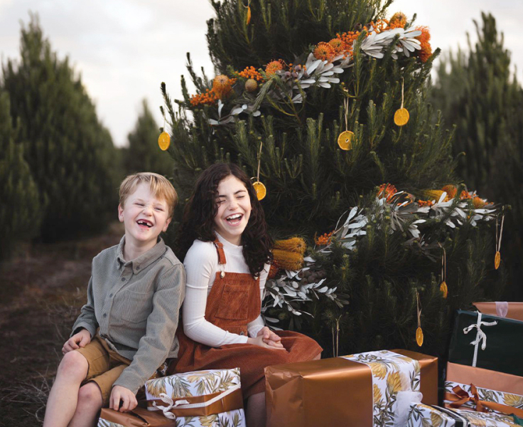 Holiday Christmas Trees Geelong